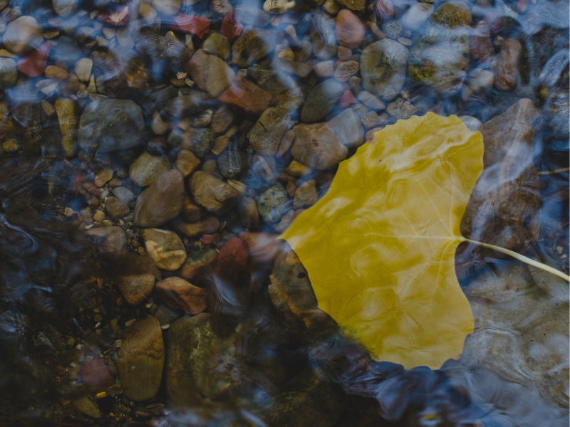 Going with the Flow: The Intersection of Druidry and Wu&nbsp;Wei