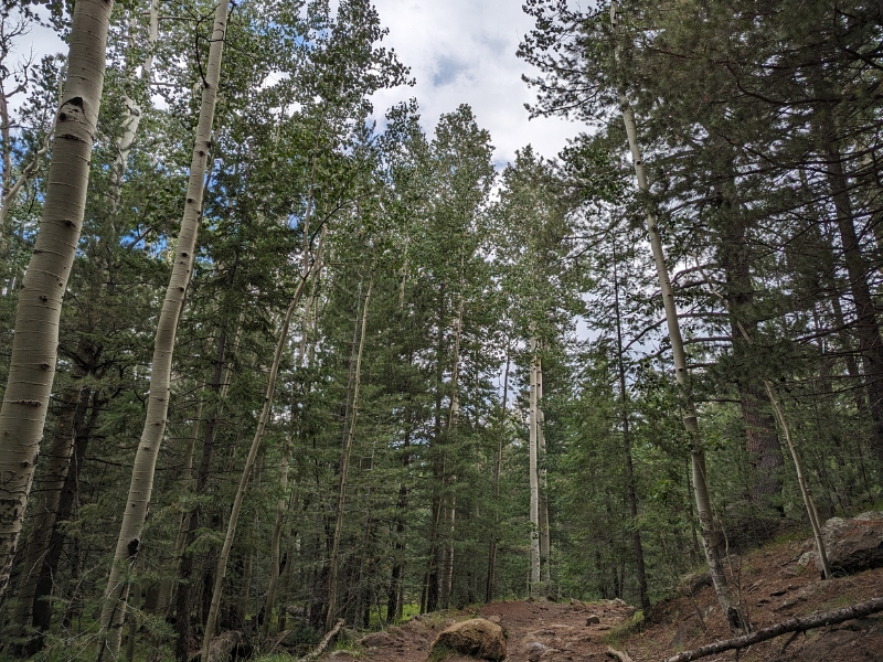 What Is A Druid? A Journey Through Time, Nature, and the Inner&nbsp;Self