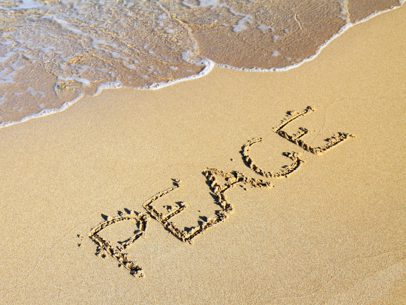 A Druid’s Plea for&nbsp;Peace