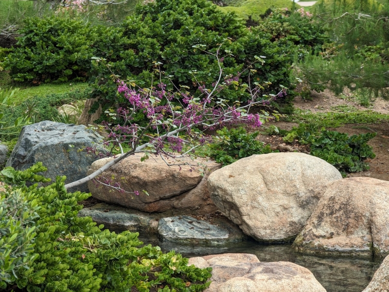 The Restorative Power of Nature’s&nbsp;Music