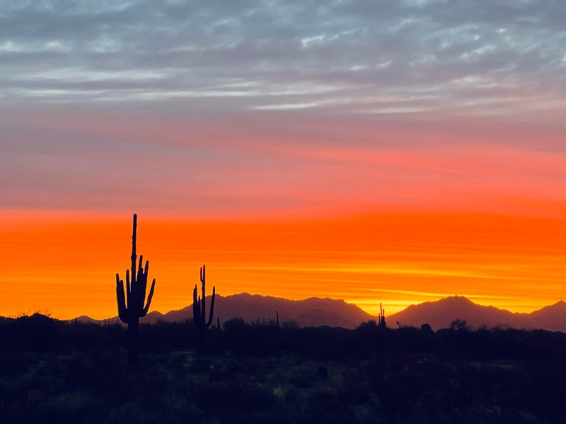 Winter Solstice Reflections