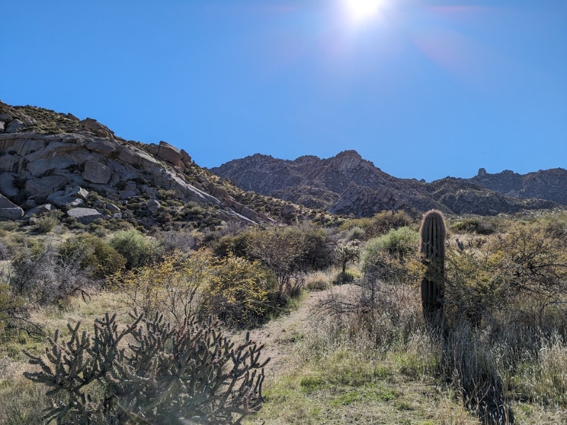 Imbolc as a Desert&nbsp;Druid